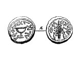 Sixth Shekel, copper, of Simon. Left: &`;The Redemption of Zion&`;, a cup. Right: &`;in the fourth year&`;, a bundle of palm branches between two citrons.